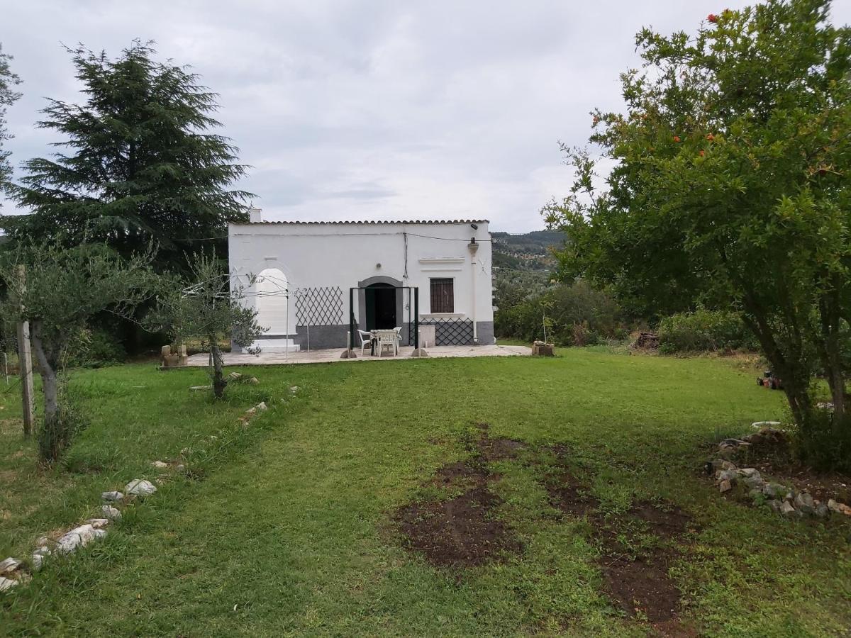 Casa Colonica Di Campagna Come Era Una Volta Βίλα Peschici Εξωτερικό φωτογραφία