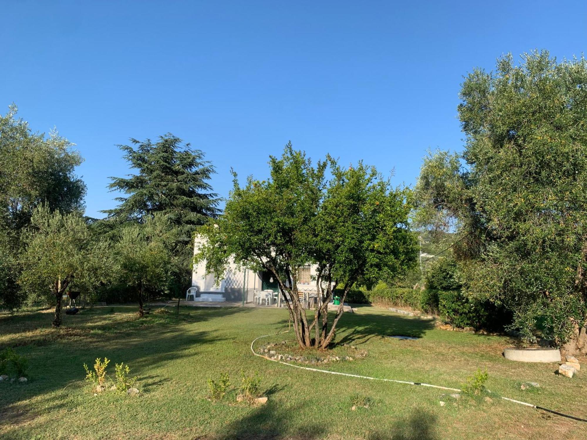 Casa Colonica Di Campagna Come Era Una Volta Peschici Εξωτερικό φωτογραφία