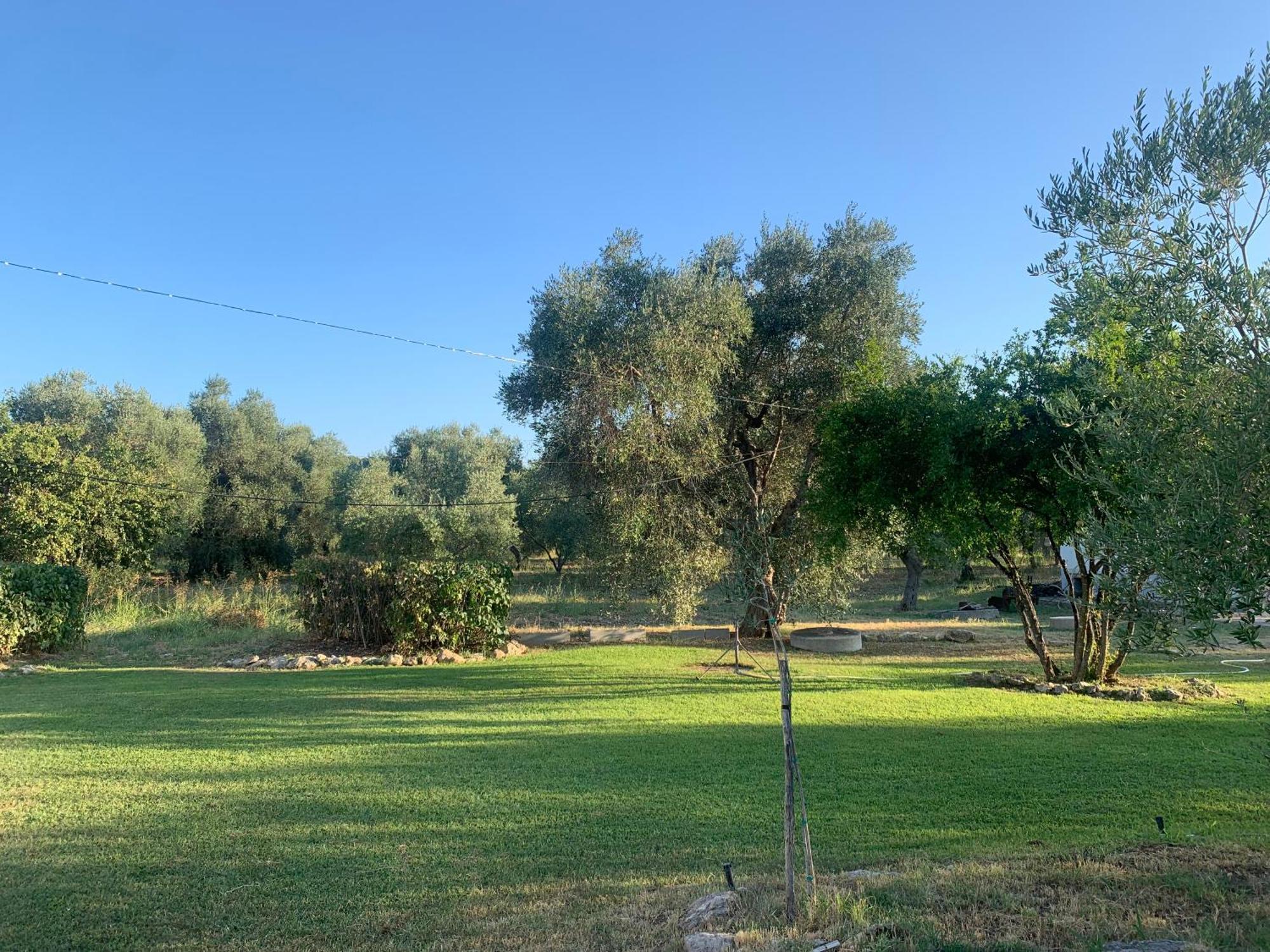 Casa Colonica Di Campagna Come Era Una Volta Peschici Εξωτερικό φωτογραφία