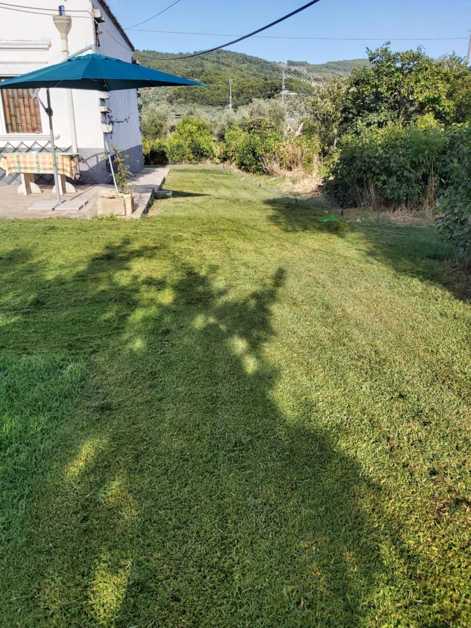 Casa Colonica Di Campagna Come Era Una Volta Peschici Δωμάτιο φωτογραφία