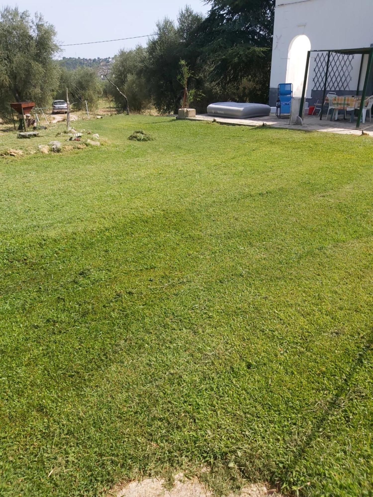 Casa Colonica Di Campagna Come Era Una Volta Peschici Δωμάτιο φωτογραφία